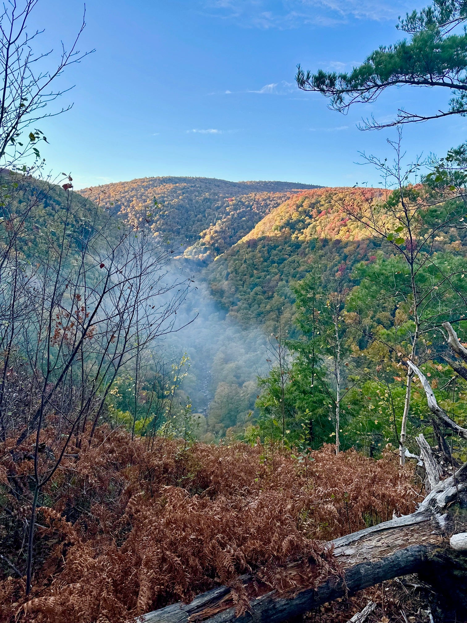 Fall in Vermont