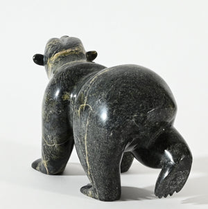 Two-way Bear by Ottokie Samayuakie