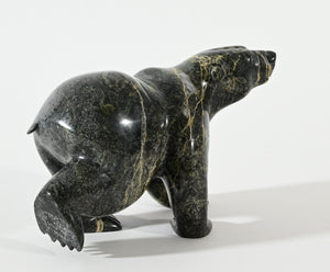 Two-way Bear by Ottokie Samayuakie