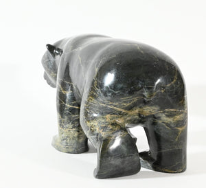 Marching Bear by Kooyoo Peter