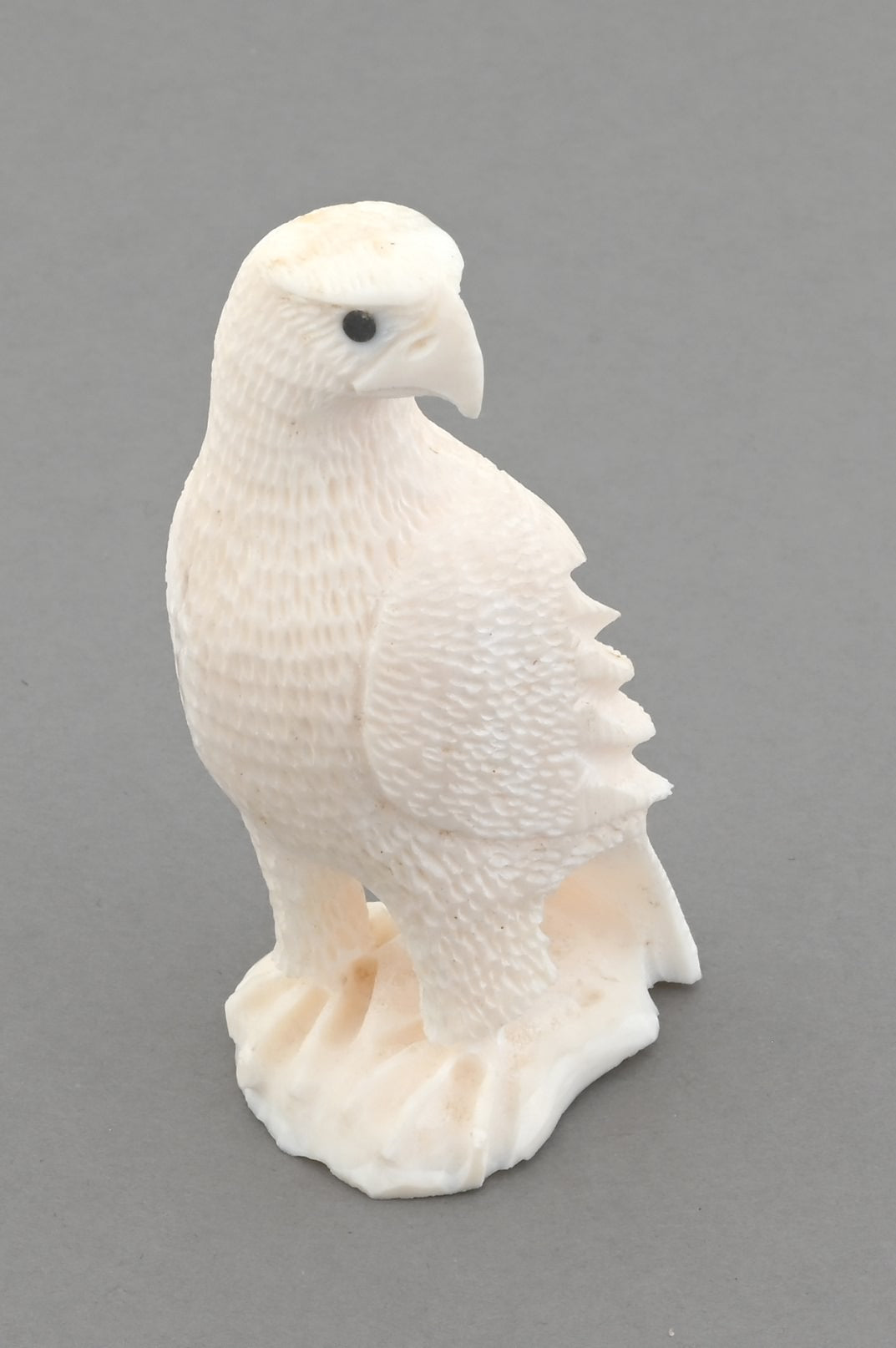 Eagle by Mark Napauatook