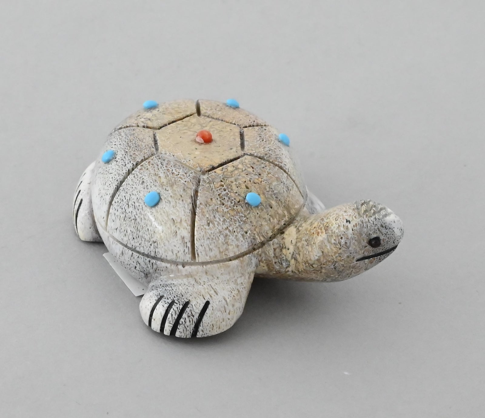 Turtle Fetish by Claudia Peina