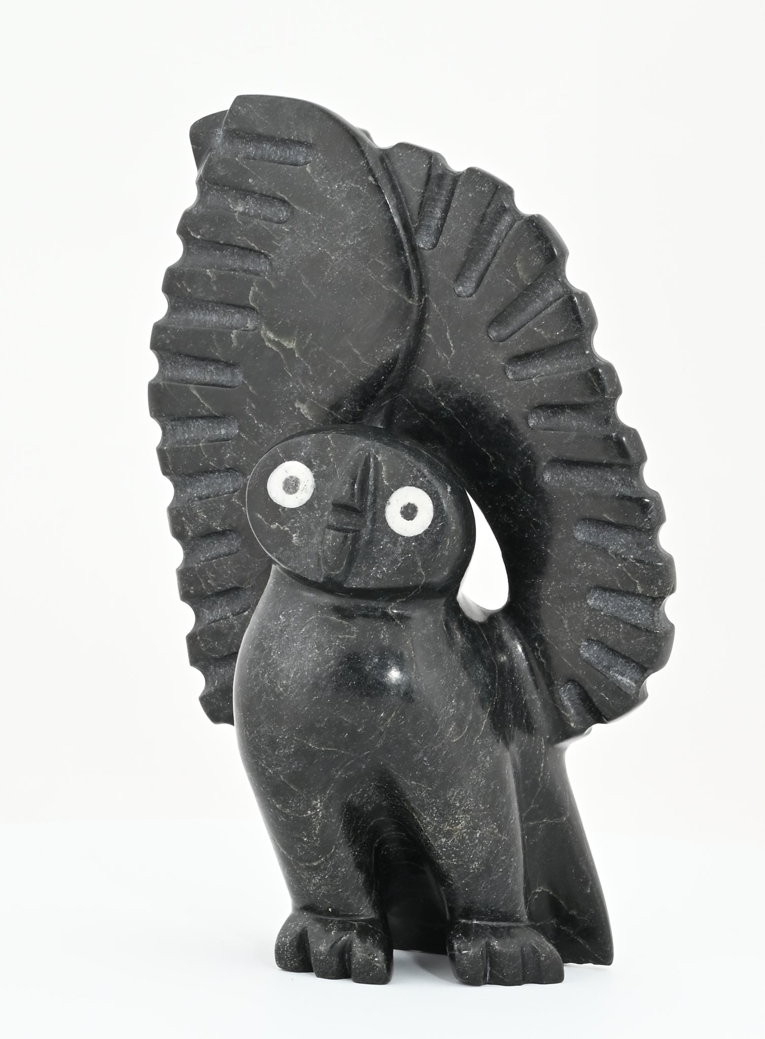 Owl by Lukta Qaumagia