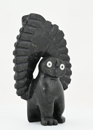 Owl by Lukta Qaumagia