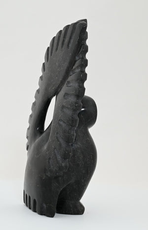 Owl by Lukta Qaumagia