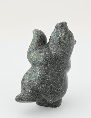 Dancing Bear by Markosie Papigatok