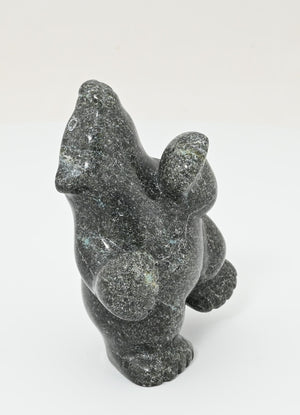 Dancing Bear by Markosie Papigatok