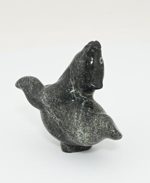 Dancing Bear by Markosie Papigatok