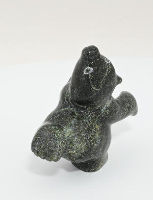 Dancing Bear by Markosie Papigatok