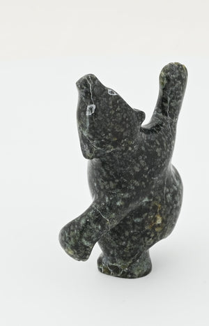 Dancing Bear by Markosie Papigatok