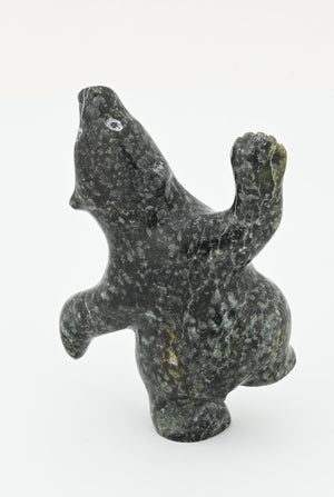 Dancing Bear by Markosie Papigatok