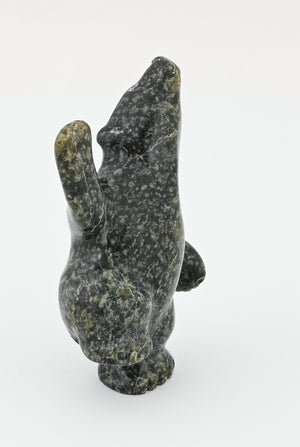 Dancing Bear by Markosie Papigatok