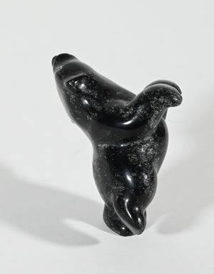 Dancing Polar Bear by Markusie Papigatuk