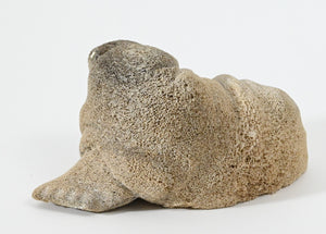 Walrus Sculpture by Mitchell Tooolie