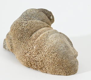 Walrus Sculpture by Mitchell Tooolie