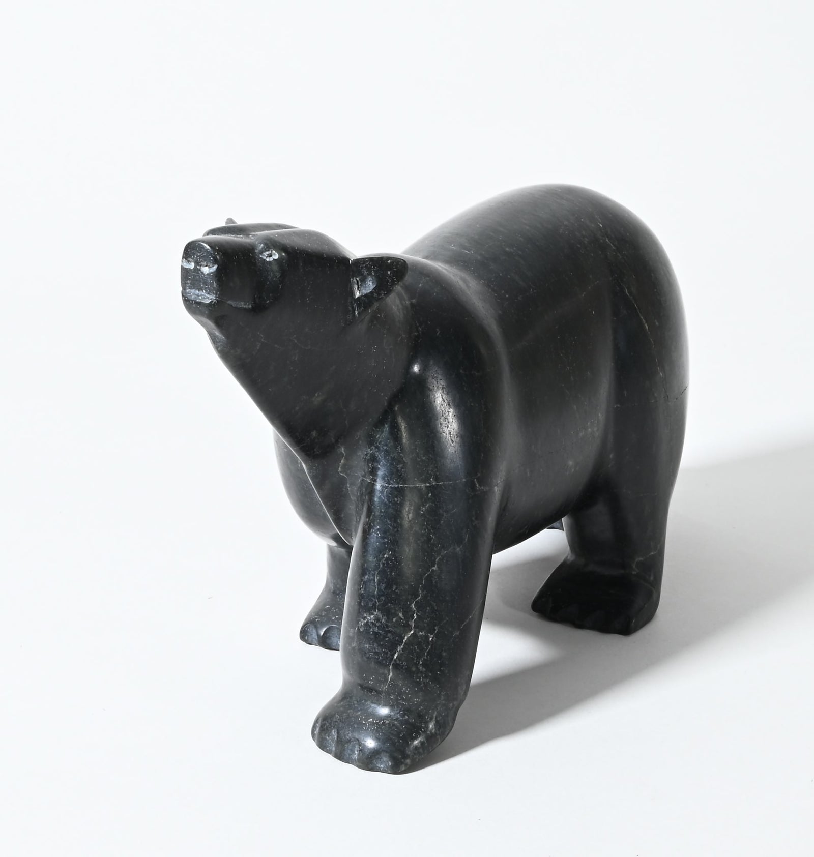 Polar Bear by Samonie Toonoo