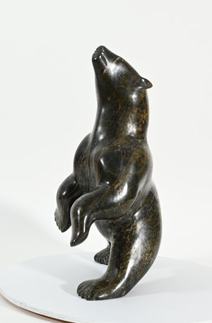 Dancing Bear by Eyeetsiak Peter