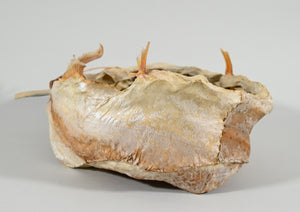 King Salmon Skin Basket by Frances Ann Reed (1943-2008) (non native)