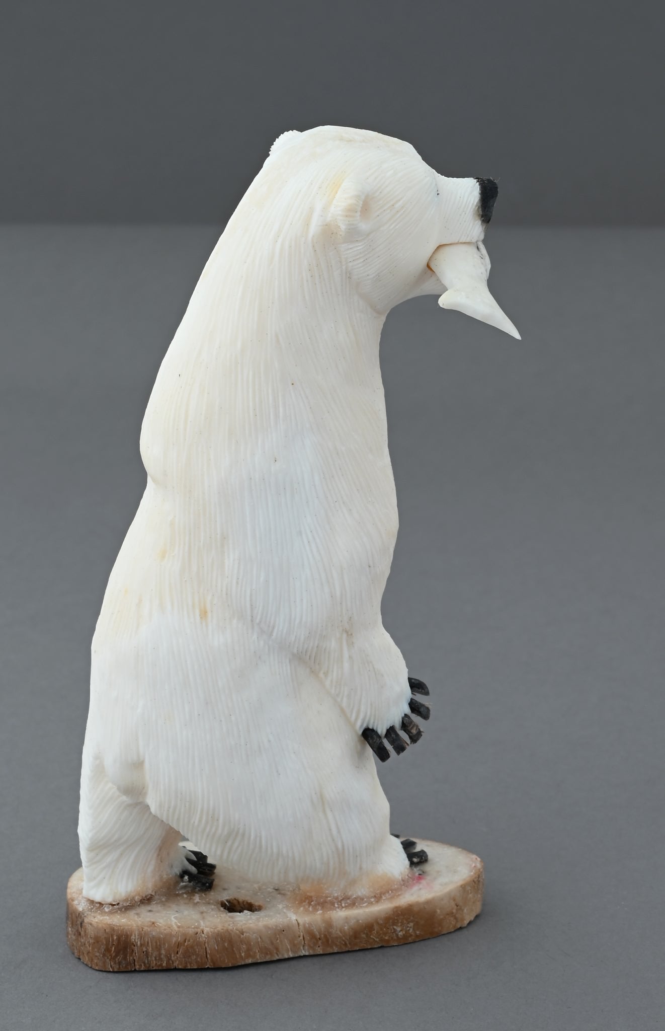 Standing Polar Bear with Fish by James Aningayou