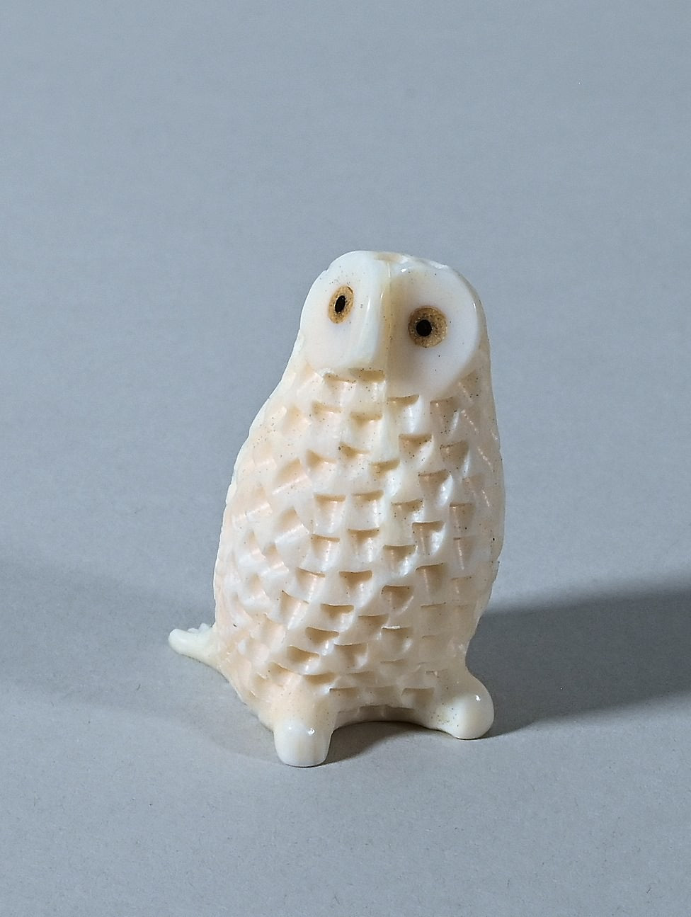 Tiny Owl by Gordon Ooseveseuk