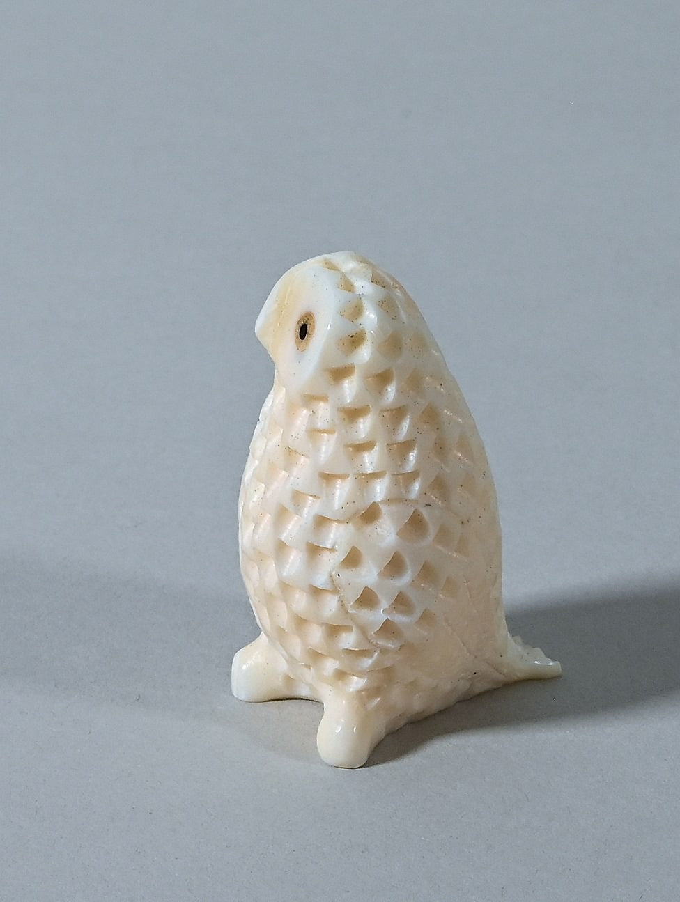 Tiny Owl by Gordon Ooseveseuk