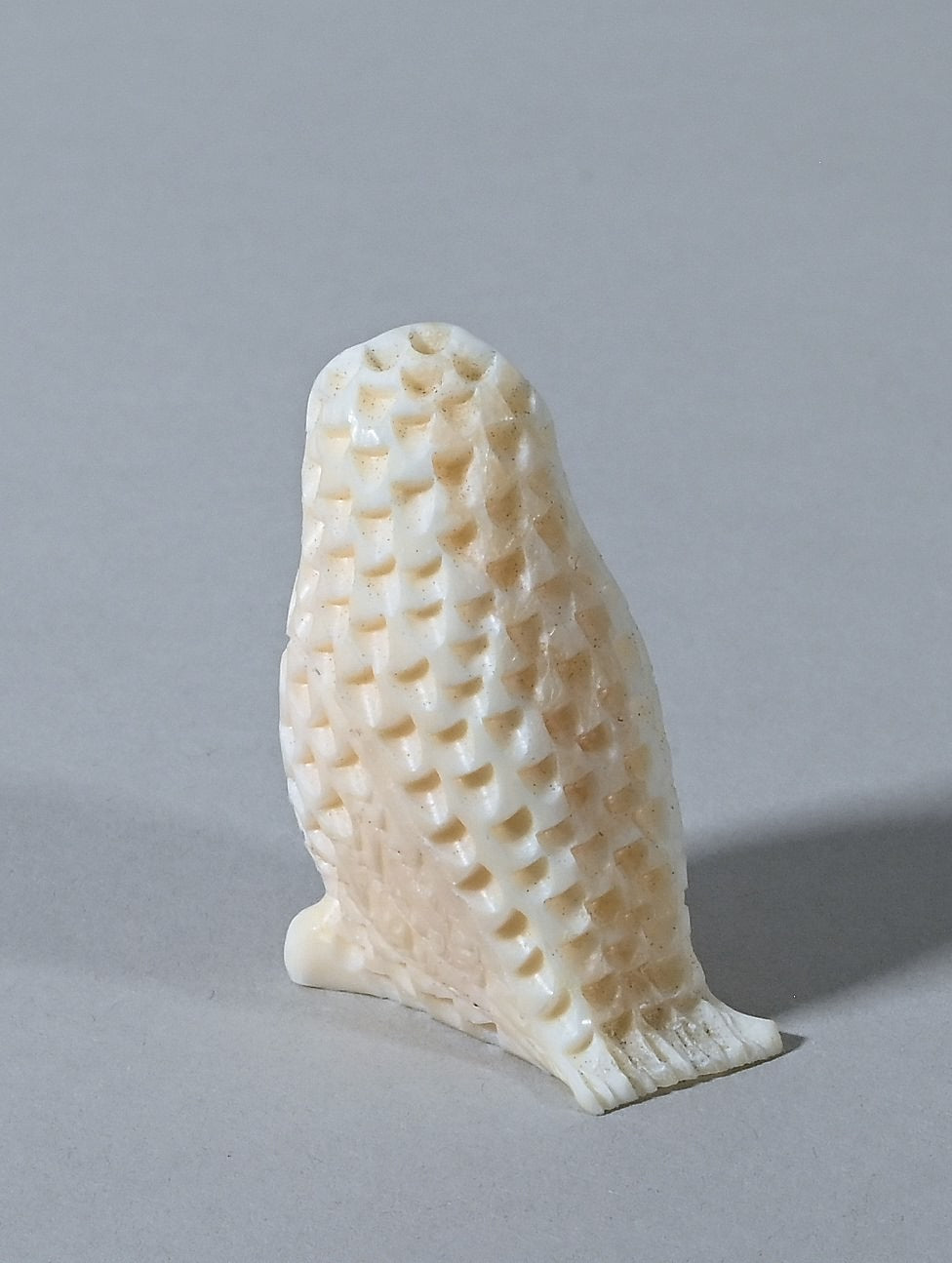 Tiny Owl by Gordon Ooseveseuk