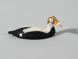 Spectacled Eider by Charles Kokuluk