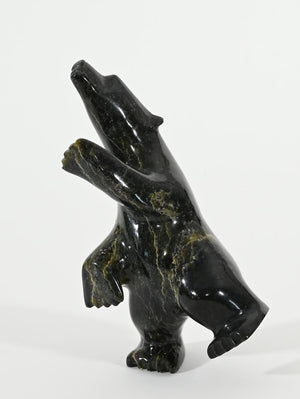 Dancing Bear by Ottokie Ashoona