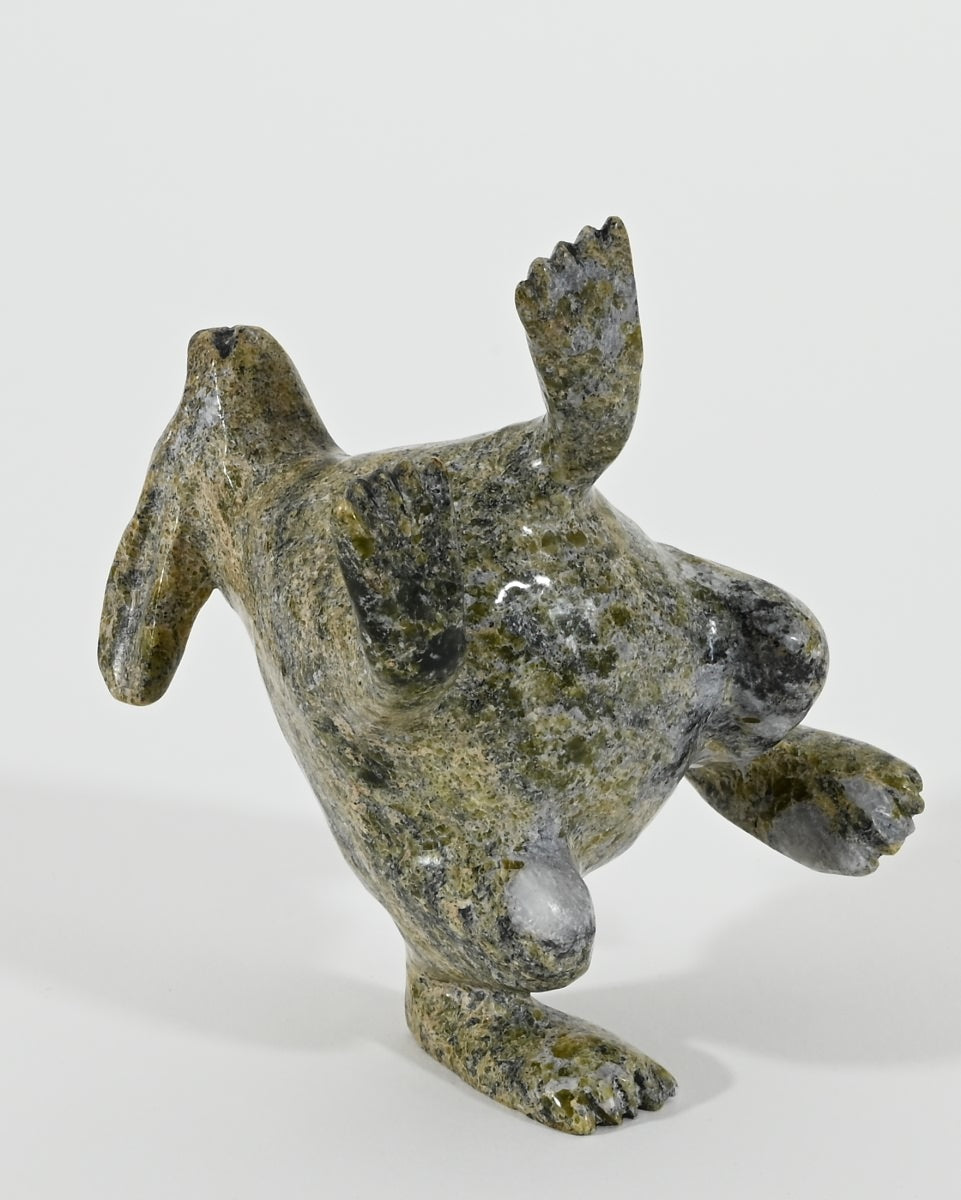 Dancing Arctic Hare by Pits Qimirpik