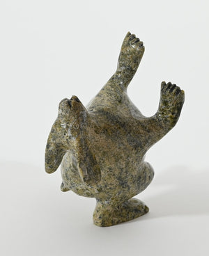 Dancing Arctic Hare by Pits Qimirpik