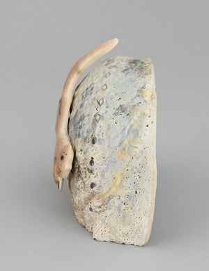 Otter on Shell by Nakwesee
