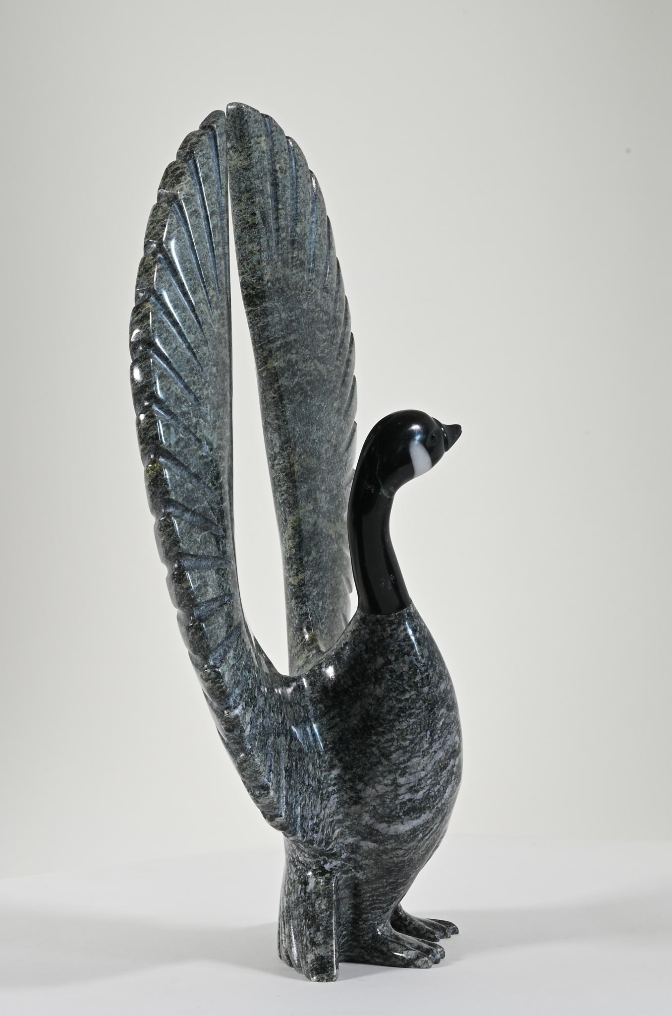 Canada Goose by Johnny Mathewsie