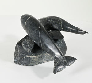 Beluga Whales by Kelly Etidloie