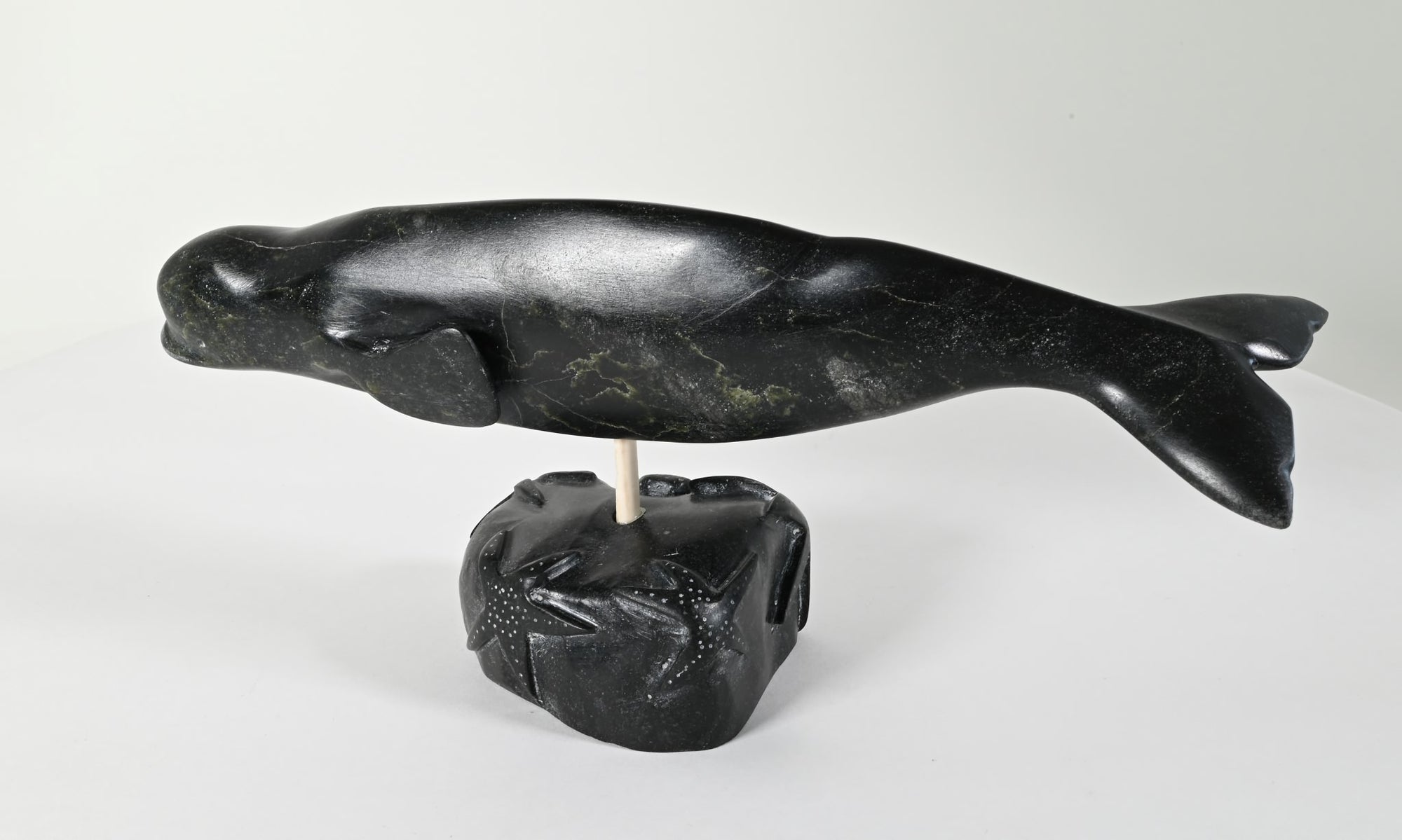 Beluga Whale by Johnny Meeko