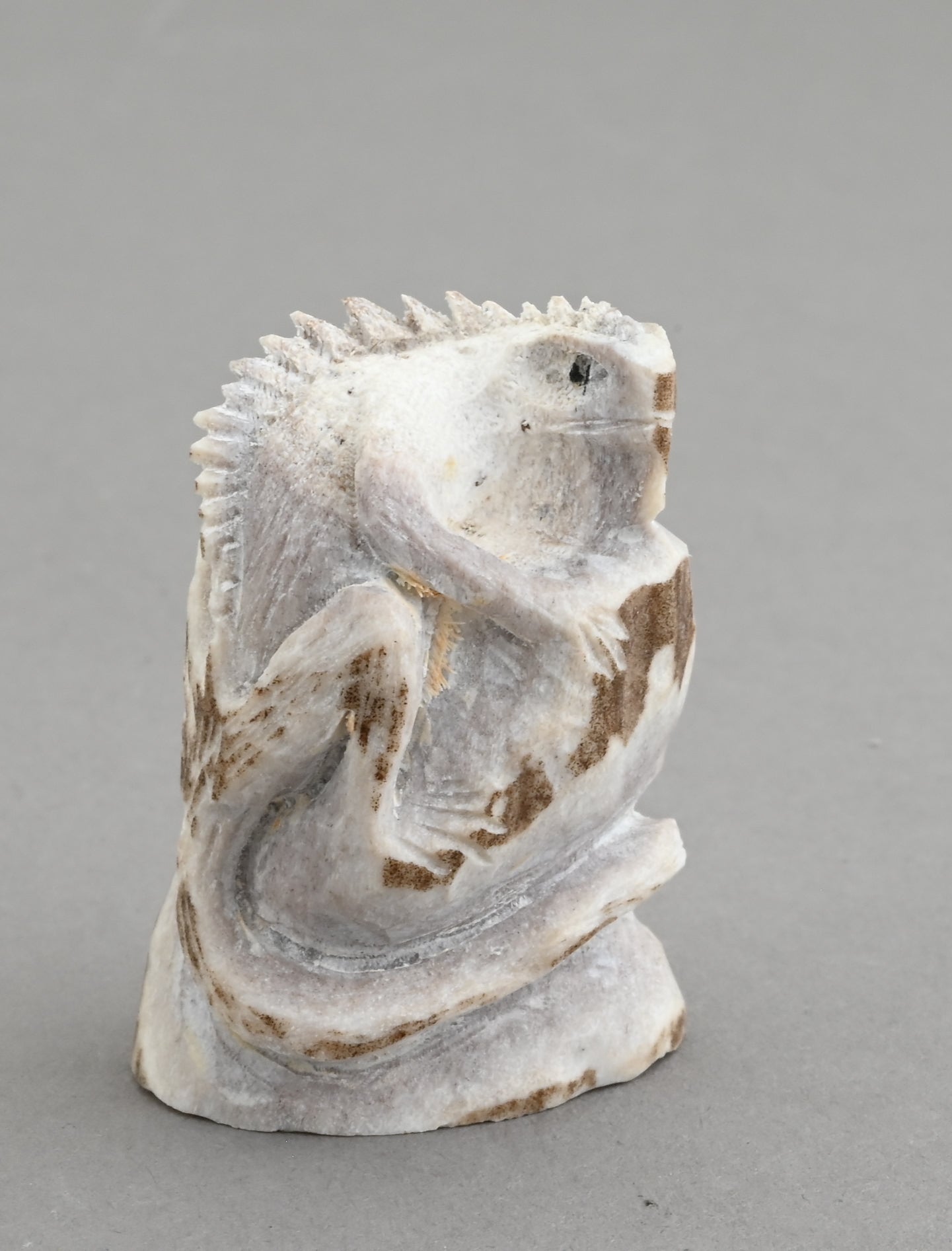 Lizard Fetish by Lewis Malie