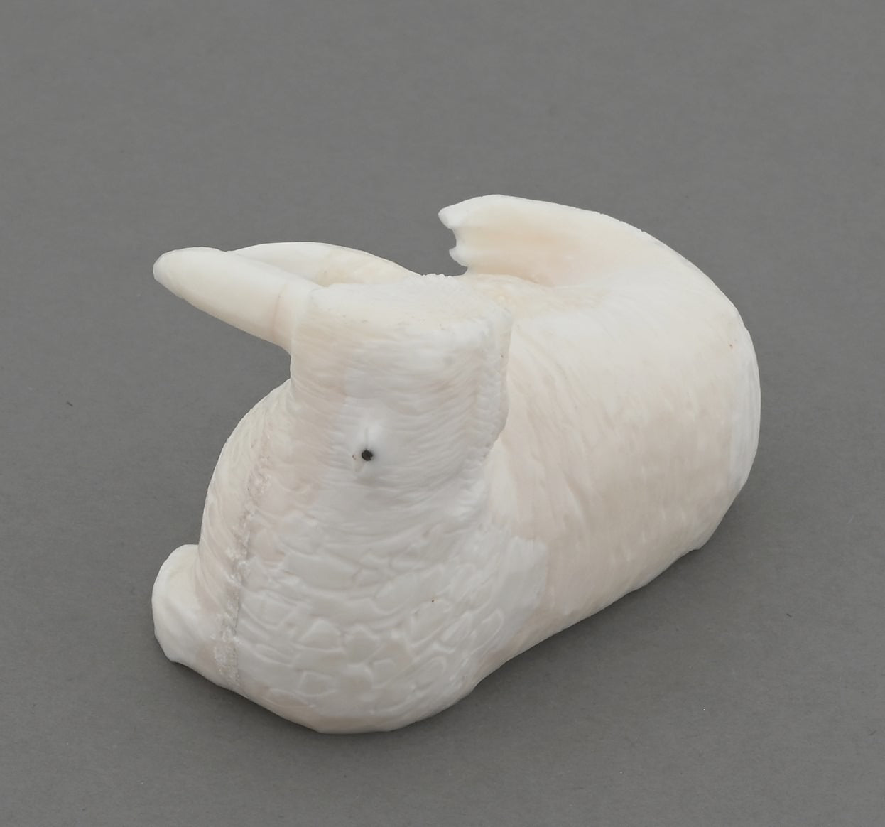 Walrus by Rich Nowpotuk