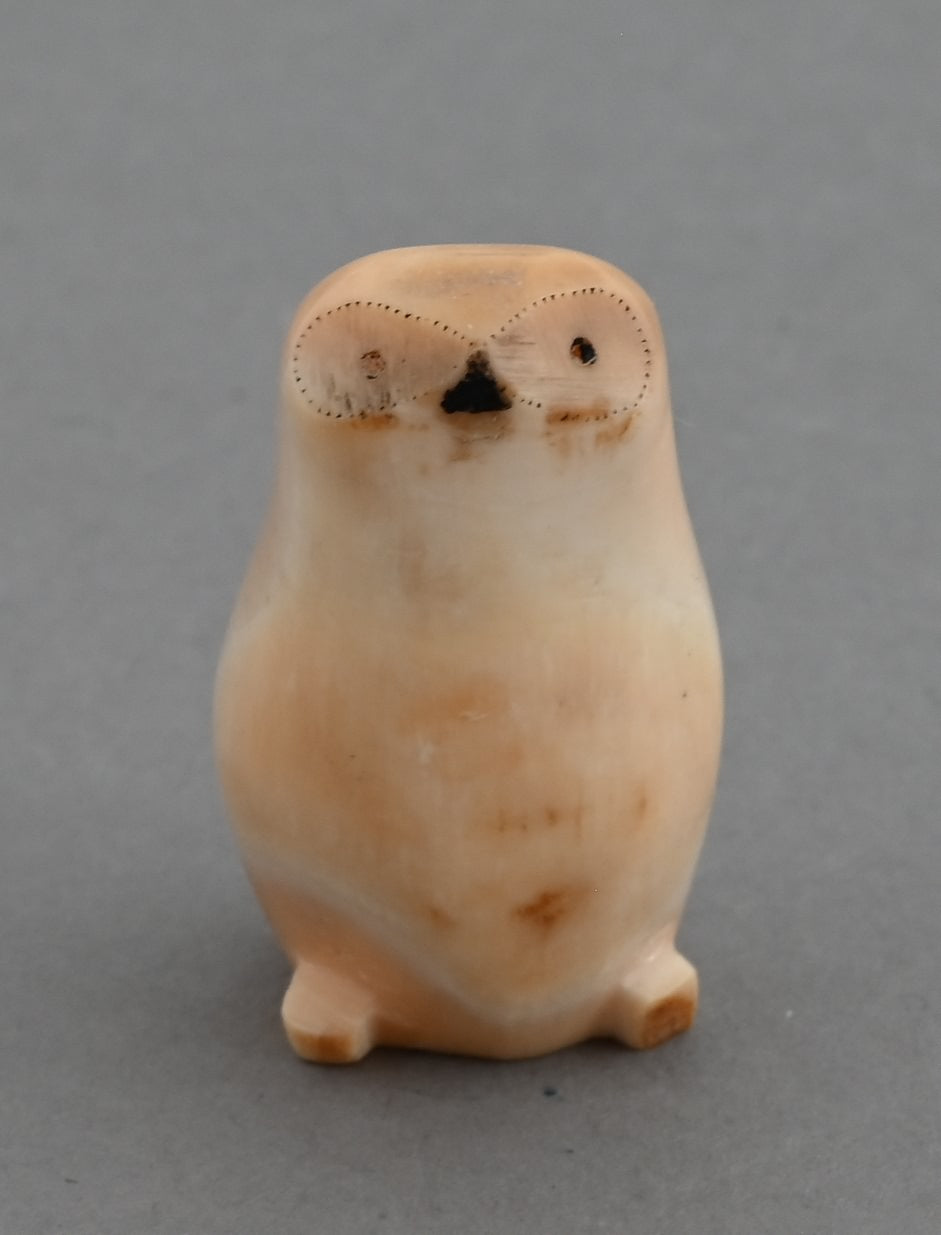 Owl from Fossil Walrus Tusk (Alaska)