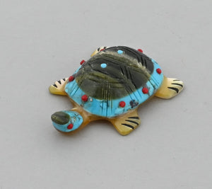 Turtle Fetish by Andrew Quam