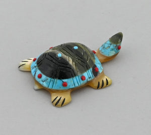 Turtle Fetish by Andrew Quam