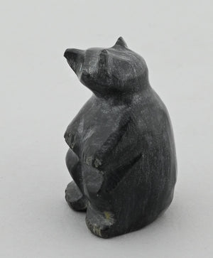 Bear Fetish by Calvert Bowannie