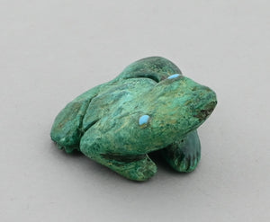 Frog Fetish by Jonas Hustito