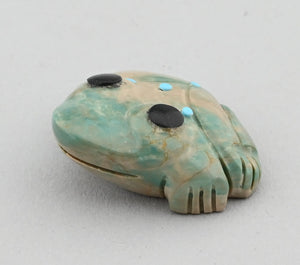 Frog Fetish by Georgia Quam