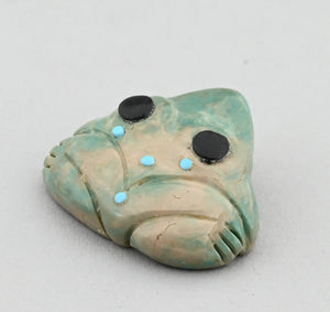 Frog Fetish by Georgia Quam
