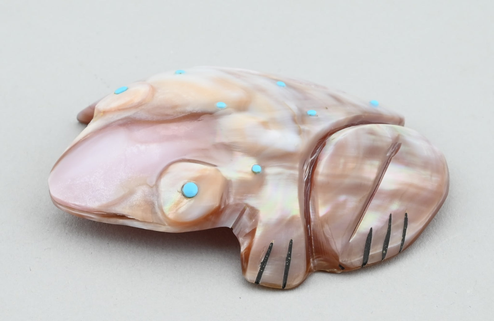 Frog Fetish by Andrew Quam