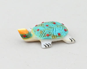 Turtle Fetish by Andrew Quam