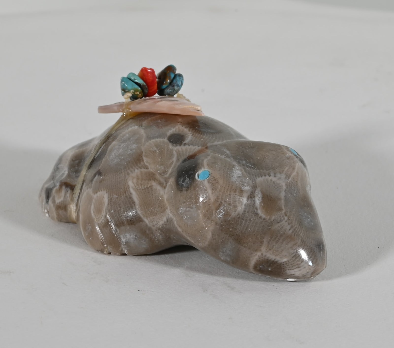 Frog Fetish by Evalena Boone