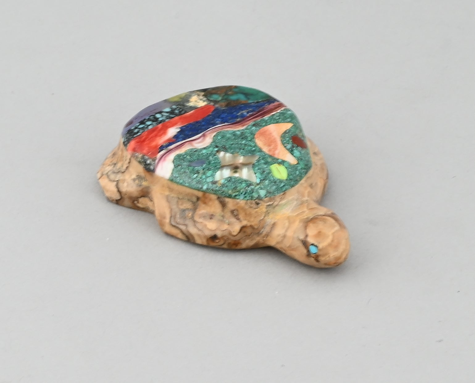 Turtle Fetish by Jayne Quam