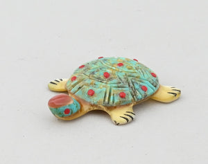 Turtle Fetish by Andrew Quam