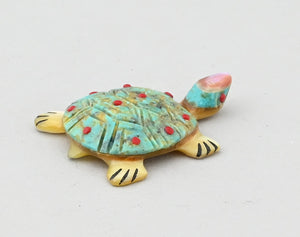 Turtle Fetish by Andrew Quam