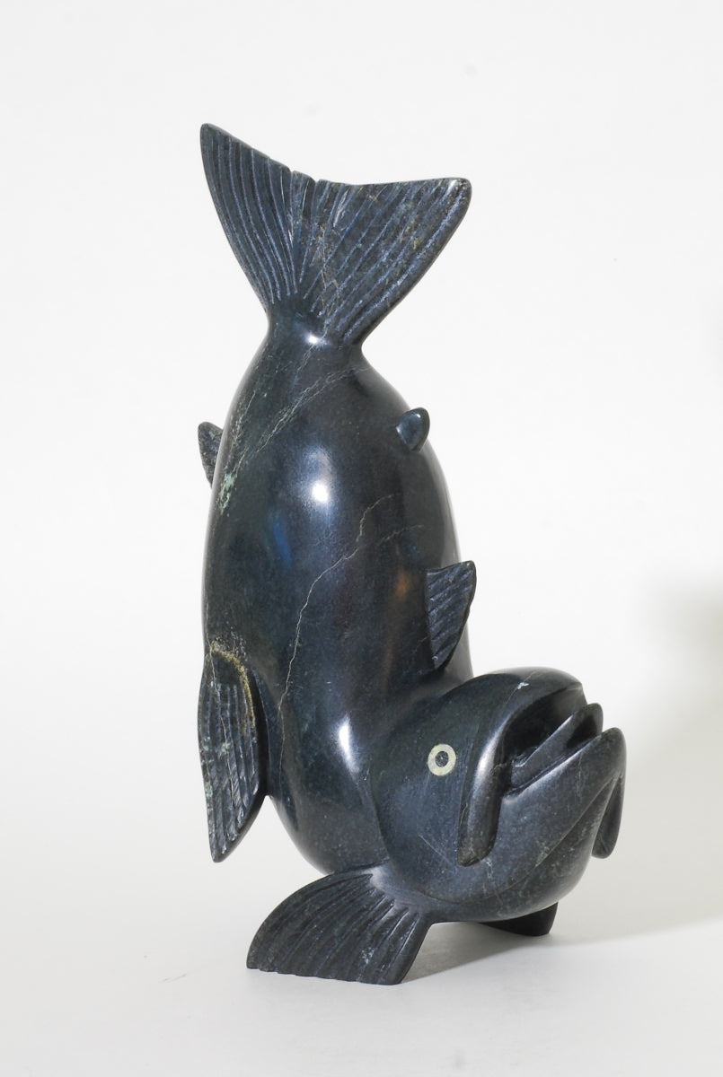 Arctic Char by Toonoo Sharky